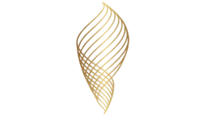 logo solid swirl no frame no bg